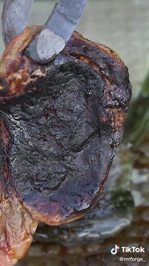 Cooking a Steak with Lava #cooking #lava #steak #food #satisfying #asmr #experiment #forge #fire