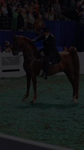 5.7K views · 104 reactions | Rose Stables is another #TEGVIP we want to congratulate on a successful 2025 World’s Championship Horse Show! #TEG #RoseStables #TEGMedia #RoseToTheOccasion #RosesBloomHere #RideForRoses #YouDeserveARose | The Equestrian Guide | Facebook