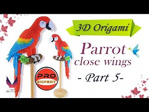 3D Origami Big Parrot_Close Wings_Part 5_Pro-Expert_Tutorial