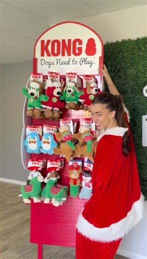  BREAKING NEWS: Santa came early and our Christmas KONG toys have officially landed at FNF! Our team is buzzing, the dogs are losing their minds, and this delivery has already caused festive chaos. They’re in reception now, but they NEVER last long - so if your pup wants in on the Christmas fun… now’s the moment! KONG #kongdogtoys | Fetch n Fun Wellness and Daycare | Facebook