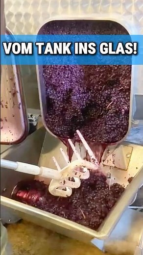 So wird Wein gemacht! Der Prozess des Ausleerens 🍇🍷 #weinbau #winzer #weinliebe