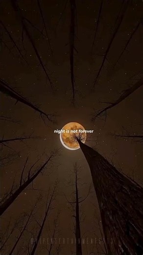 Alone - Alan Walker | lyrics |aesthetic | whatsapp Status | English songs | slowed | sped up #lyrics