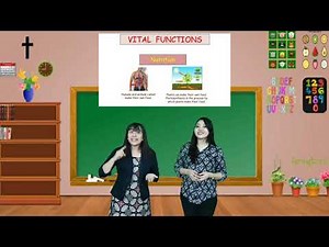 SCIENCE GRADE 4 - UNIT 1 . HUMAN AND ANIMALS