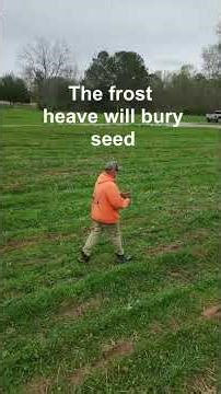 First seeding of food plots What to plant now #foodplot #deer