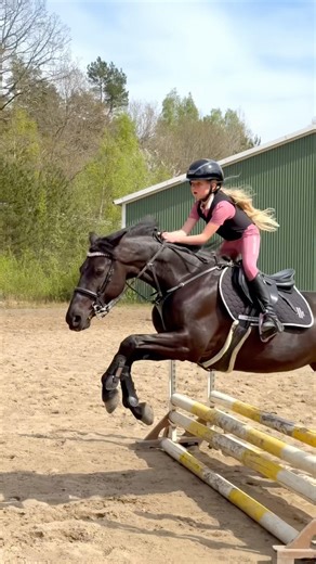 Jumping lesson with Toppi😍 #shortsvideo #horse #equestrian