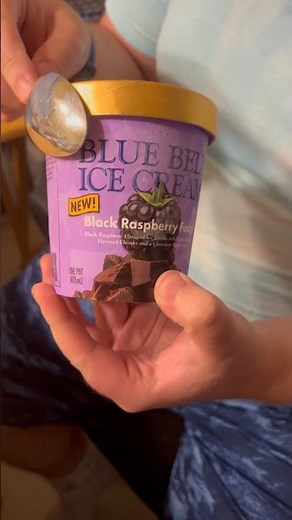 Blue Bell ICE Cream Black Raspberry Fudge