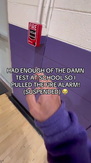 I Got Suspended for Pulling the Fire Alarm at School