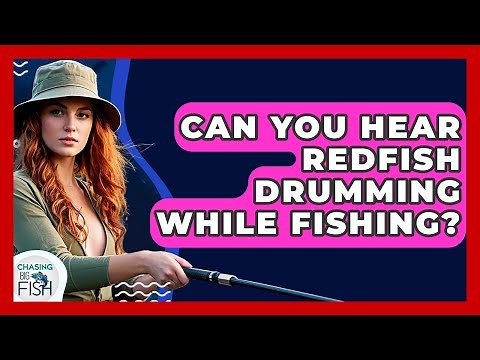 Can You Hear Redfish Drumming While Fishing? - Chasing Big Fish