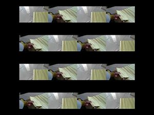 Tutorial pembuatan foldable mitosis