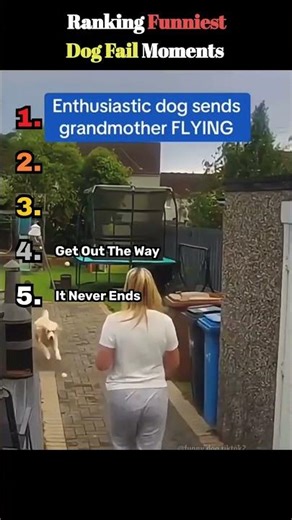 Top 5 Funniest Dog Fail Moments Ever!!! (Dogs Tried Their Best) #shorts