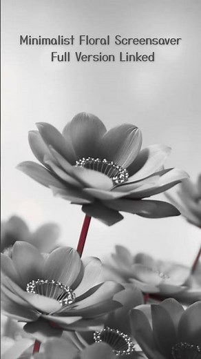 Black & White Floral Screensaver