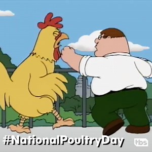 Celebrate #NationalPoultryDay the best way possible... watch Family Guy's epic chicken fight. 🐔 | TBS Network
