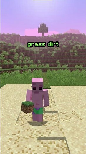 Minecraft Finally Has Realistic Walking Paths!