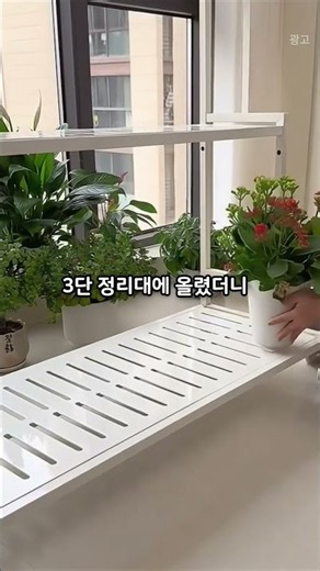 The viral plant organizer trending among plant parents right now
