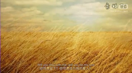 Fields of Gold 中英字幕版