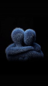 🄷🄴🅈 = 💗🫟 on Instagram: "🫀🫂💝🌍💯 ... 𝐅𝐨𝐥𝐥𝐨𝐰... @_2t_sharp_xo... ... . . . . #iphone13 #songs #reels #reelsinstagram #trending #trendingreels #insta #instagood #instadaily #daily #inatalike #instagram #reelslovers #fypシ #fyp #explore #foryou #foryoupage #1111 #11 #natpu #ktmindia #ktm #duke #duke390"