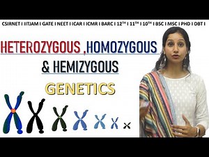 Homozygous; Hemizygous and Heterozygous I Genetics I CSIRNET I IITJAM I GATE I NEET I CLASS 11 12 10 Video Lecture | IIT JAM Biotechnology Crash Course
