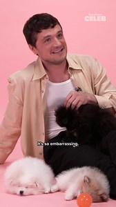 29K views · 281 reactions | Imagine watching "The Hunger Games" on the airplane and Josh Hutcherson causally walks by you to use the restroom. 﫣 Josh Hutcherson: The Puppy Interview out now! #JoshHutcherson #PuppyInterview | BuzzFeed Celeb | Facebook