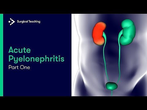 Acute Pyelonephritis | What is it and What Causes it?