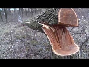 How to Create a Better Timber Setup