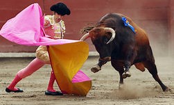 The Controversy of Spanish Bullfighting