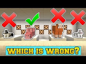 Minecraft: WHICH MOB DOES NOT BELONG?!? - ODD MOB OUT - Mini-Game