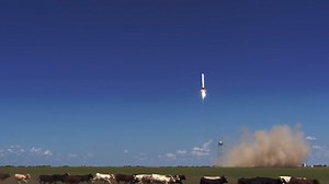 SpaceX Rocket Test Sends Cows on the Moo-ove (Video)