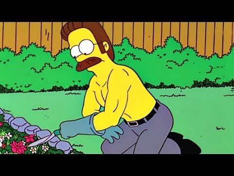 Starwipe to Ned Flanders