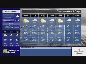 The Weather Network Local Forecast, 2/9/2025