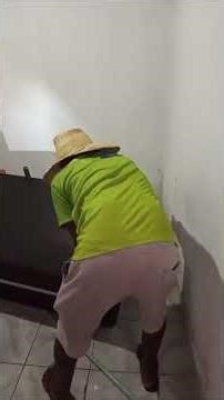 Scorpion spotted hiding in wall in Japaratuba, Sergipe, Brazil