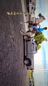 12K views · 123 reactions | Rancho Los Potrillos -Dover FL on Reels | Facebook