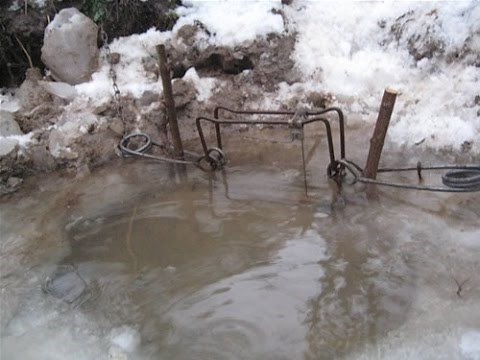 Beaver trapping | 330 conibears | Four catches