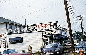 Herb erytriny koguta, Drzewo koralowe, Erythrina crista-galli 🌿 Wszystko O Ogrodnictwie I Projektowania Ogrodów - 2025