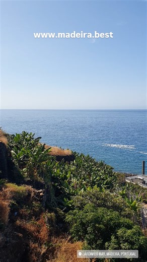 Jardim do Mar 💛 www.madeira.best #madeirabest #visitmadeira #visitportugal #visitcalheta #jardimdomar #paradise #amazing #travel #holidays #collectmemories #endlesssummer #sun #instagood #follow4like | Madeira.Best