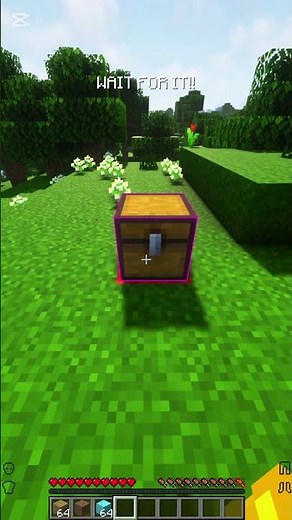 Minecraft 1.21 Duplication Glitch #minecraft #duping #glitch