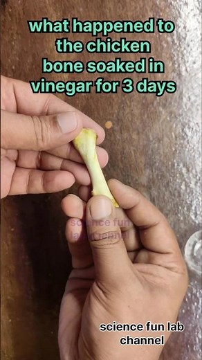 what happened to the chicken bone soaked in vinegar for 3 days #shorts #chemistry #viral #physics