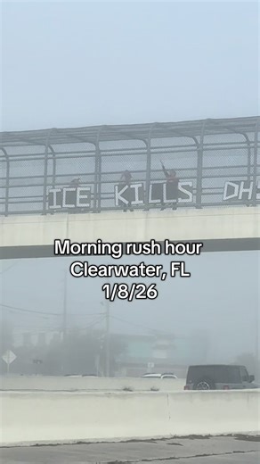 Tampa Bay Protests: Melting ICE and Demanding Justice