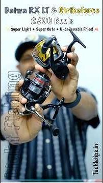 Daiwa RX LT & Strikeforce 2500 | Super Cute & Lightweight Fishing Reels at Best Price! #shorts