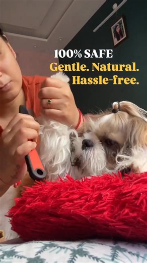 🐾✨ No Water? No Problem! Introducing the Dry Bath for Pets – the easiest way to keep your furry friend fresh & clean anytime, anywhere! ✅ No water needed – just spray & wipe ✅ Removes dirt, odor & germs instantly ✅ Gentle on skin, safe for daily use ✅ Keeps coat soft, shiny & fresh Quick, easy & mess-free bath time! 🐶💚 Shop Now 🛒 | Free Shipping | COD Available 🚚 | Vritusau.com