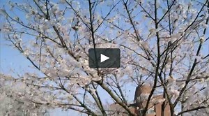 Orange Marmalade 오렌지 마말레이드 - Orange Marmalade Ep.1 (ENG)