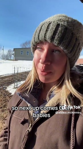 2025 Mini Donkey Foals: A Farm Life Journey