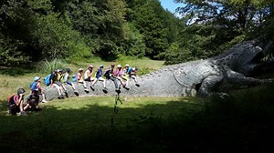 C'est quoi un centre social ?