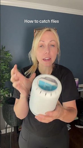 How to catch flies: use the cordless rechargeable Safer Home Flying Insect Trap - a great fly trap