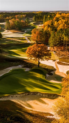 Carolina Pines Golf on Instagram: "Fall on 𝐓𝐡𝐞 𝐑𝐨𝐚𝐝 | 2025 Edition 🍂 📍Tobacco Road Golf Club • Sanford, NC • • • #tobaccoroad #tobaccoroadgolf #fall #ncgolf #fallgolf #sanfordnc #sandhillsnc #pinehurst #carolinagolf #mikestrantz #strantzfantzclub #top100golf #fyp #beautifulgolfcourses #visitnc #nolayingup #playorperish #enjoythewalk #carolinapinesgolf"