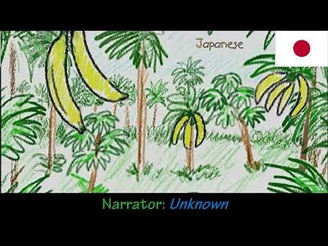 Baby Einstein - Baby Dolittle, World Animals: Animals in the Jungle (One-Line Multilanguage)