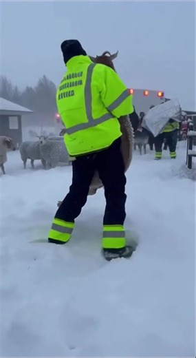 Caught on Camera: Incredible Rescue During Heavy Snowfall #Rescue #RealRescue #RescueTeam #Emergency