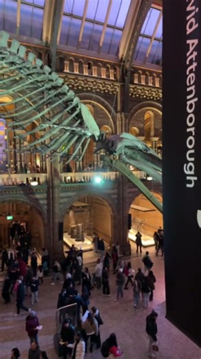 Face to Face with a Dinosaur. #Dinosaur #NaturalHistoryMuseum #London #MuseumLife #Prehistoric