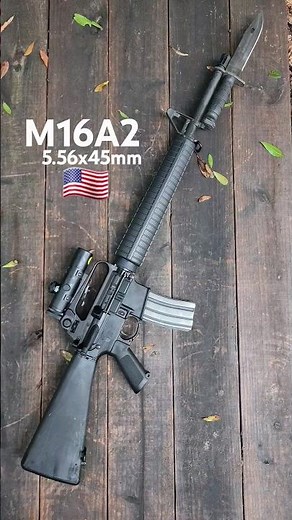 M16A2 Clone from Brownells/PSA With Colt Scope #usa #army #retro