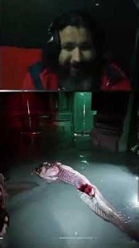 Muerden como burro | #drkarolus #karolus