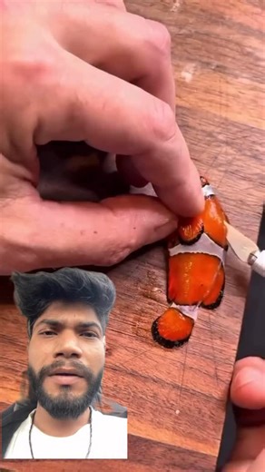 Abhi⚡️ on Instagram: "Nemo fry 🥹 . #reels #explore #reelitfeelit #reelkarofeelkaro #goviral #reel #virals #remix #reelremix"
